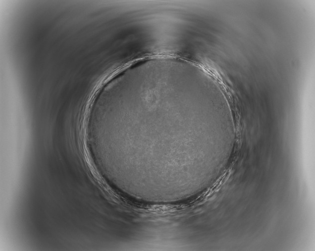 X0000094330145200711021416