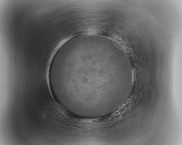 X0000094330147200711021416