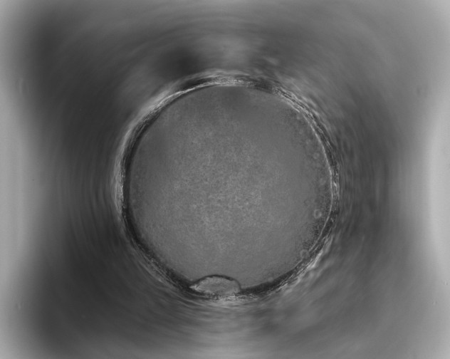 X0000094330149200711021416