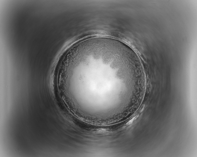 X0000094330151200711021416