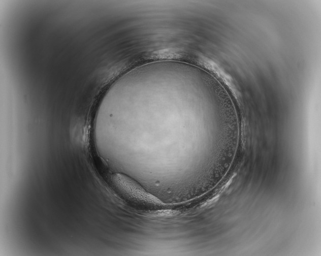 X0000094330153200711021416