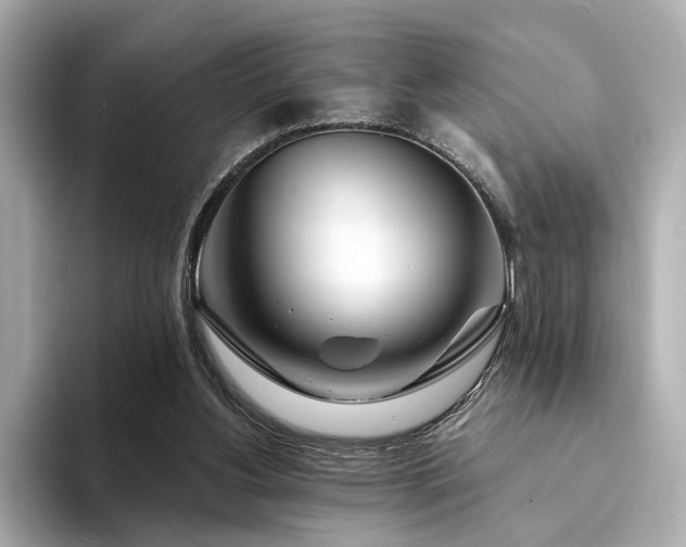 X0000094330156200711021416