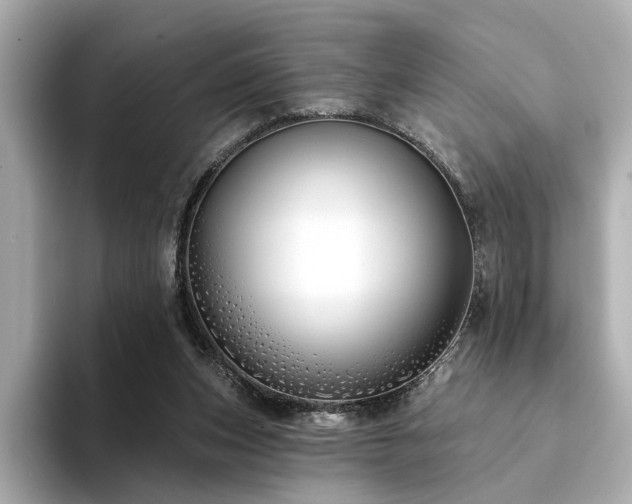X0000094330159200711021416