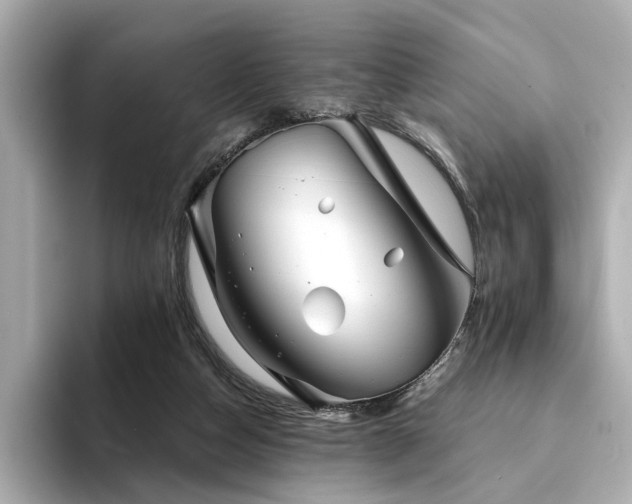 X0000094330162200711021416