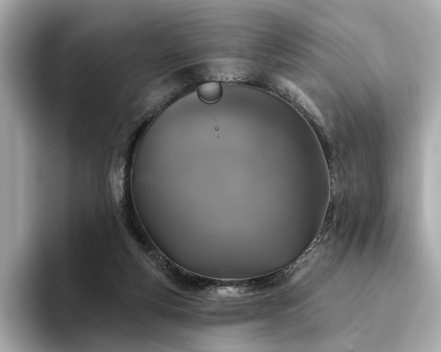 X0000094330163200711021416