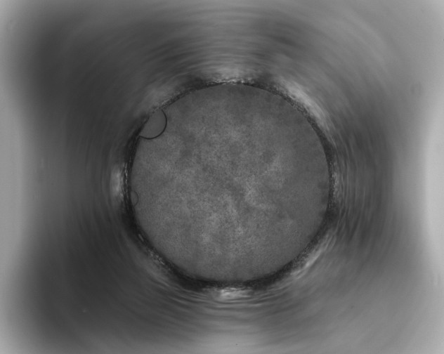 X0000094330165200711021416