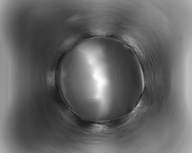 X0000094330167200711021416