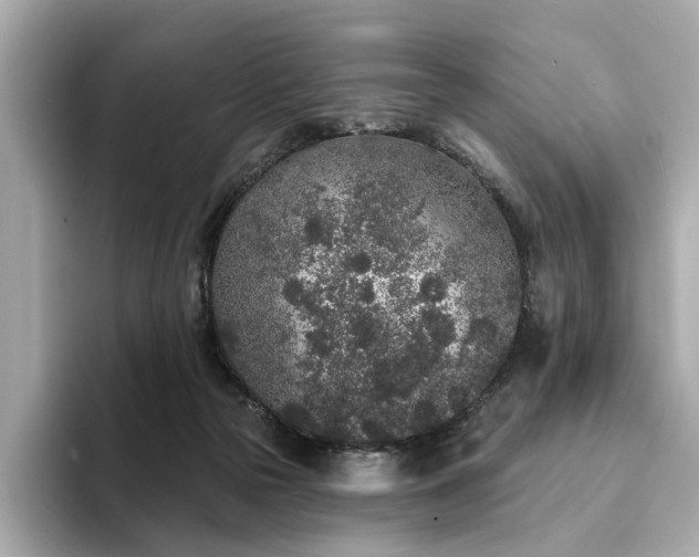 X0000094330169200711021416