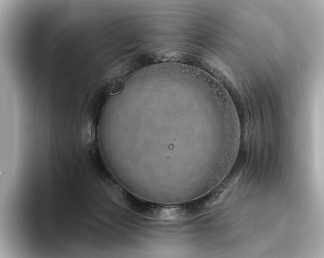 X0000094330173200711021416