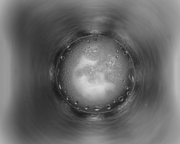 X0000094330175200711021416