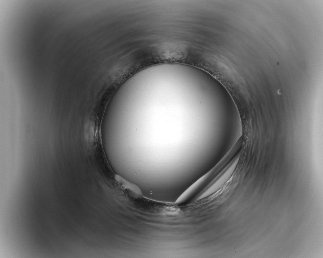 X0000094330176200711021416