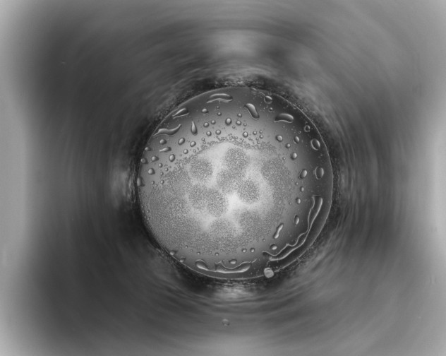 X0000094330177200711021416