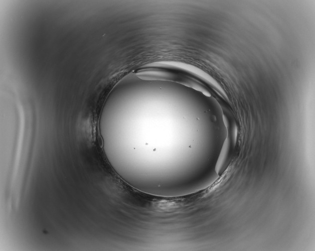 X0000094330180200711021416