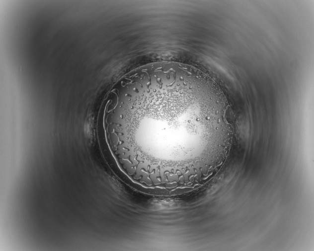 X0000094330181200711021416