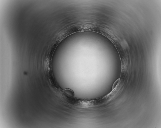 X0000094330187200711021416