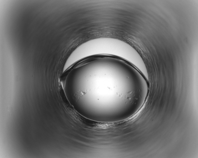 X0000094330190200711021416