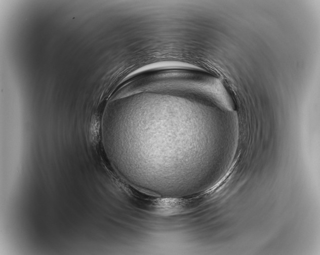 X0000094330192200711021416