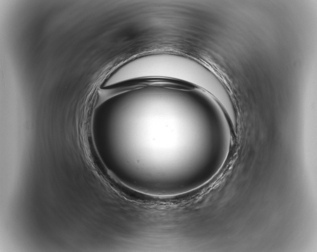 X0000094330193200711021416
