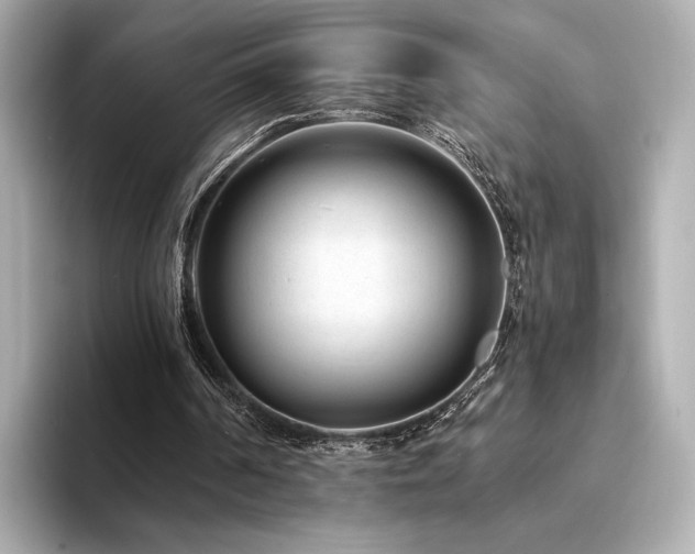 X0000094330194200711021416