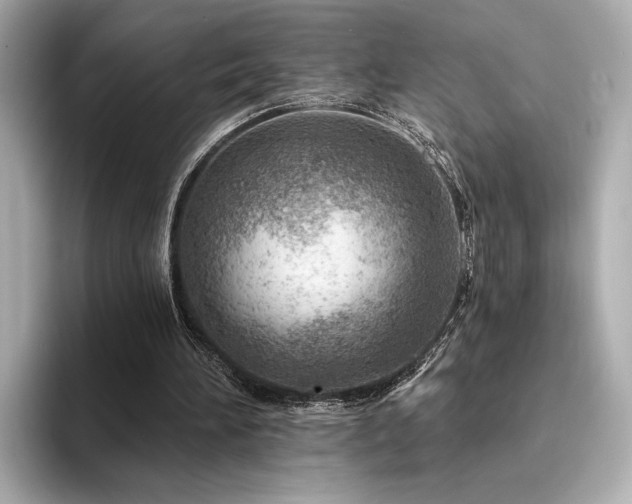 X0000094330196200711021416