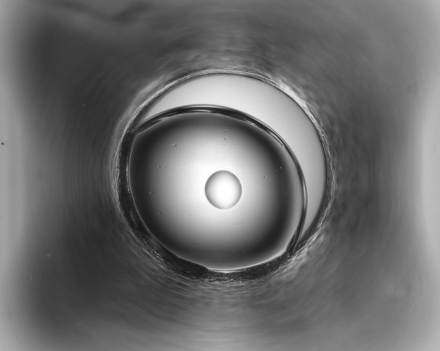 X0000094330199200711021416
