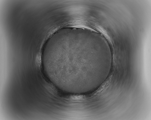 X0000094330202200711021416