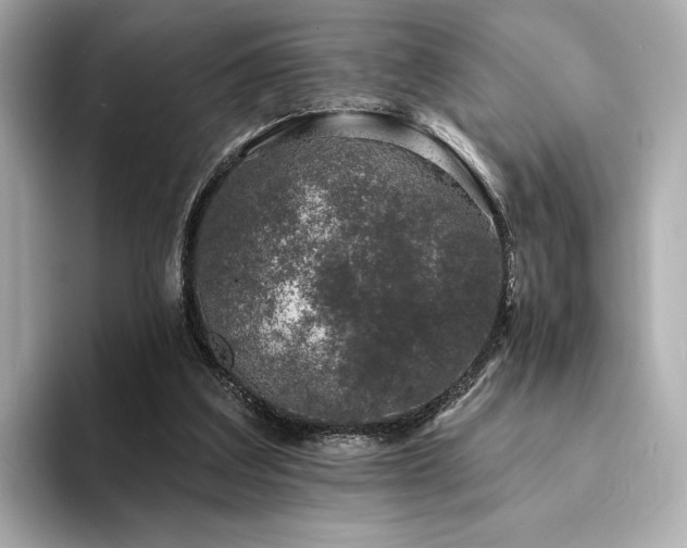 X0000094330203200711021416