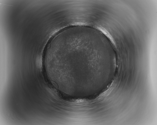 X0000094330204200711021416