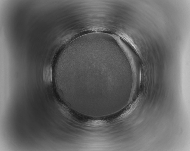 X0000094330205200711021416
