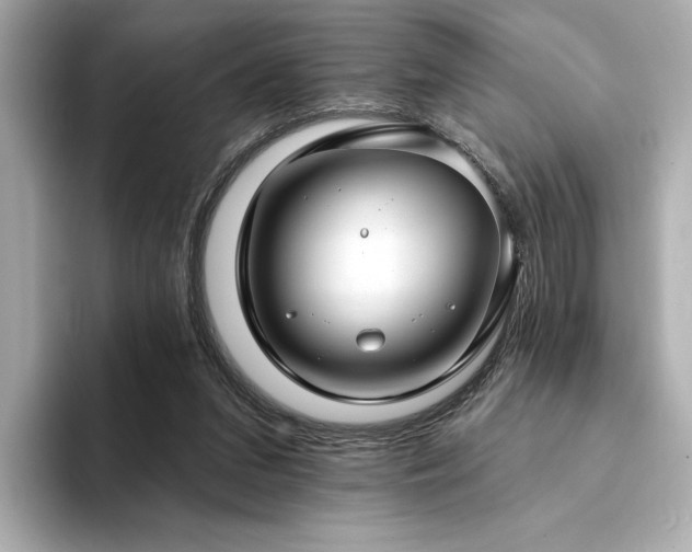 X0000094330207200711021416