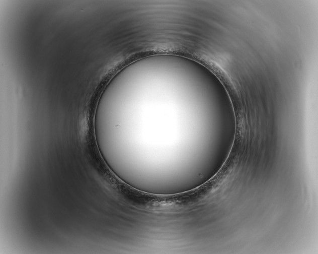 X0000094330208200711021416