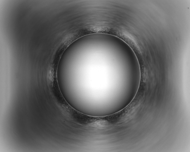 X0000094330210200711021416