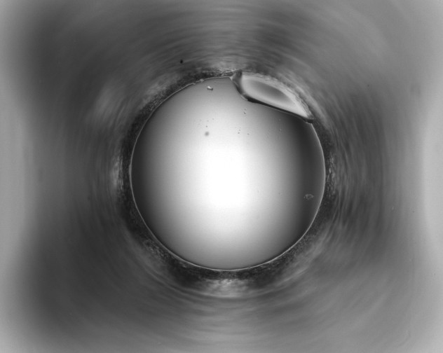 X0000094330212200711021416