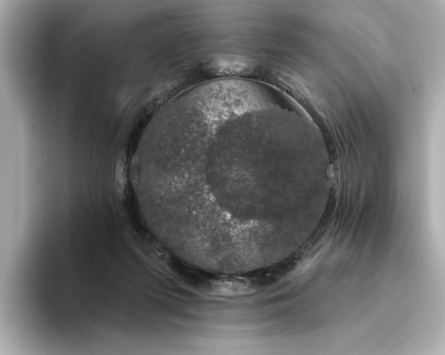 X0000094330215200711021416