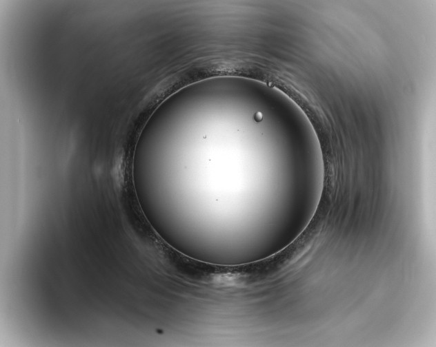 X0000094330216200711021416