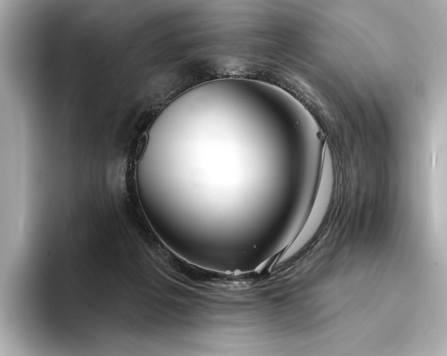 X0000094330217200711021416