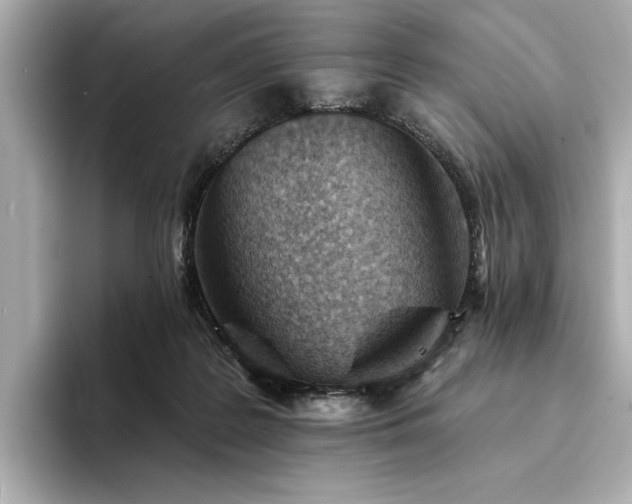 X0000094330219200711021416