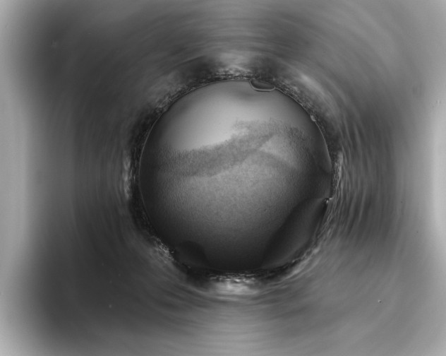 X0000094330223200711021416