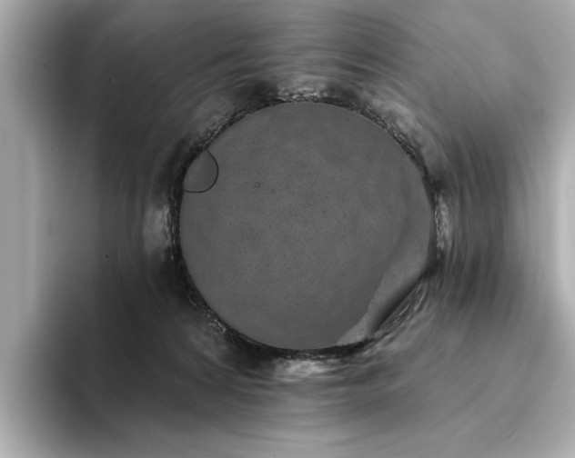 X0000094330224200711021416