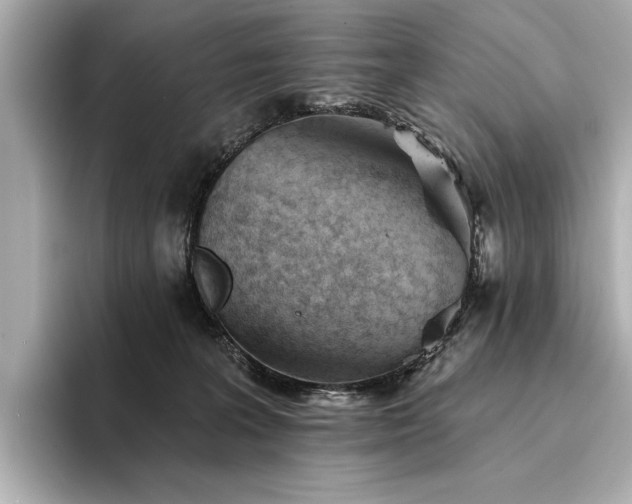 X0000094330227200711021415