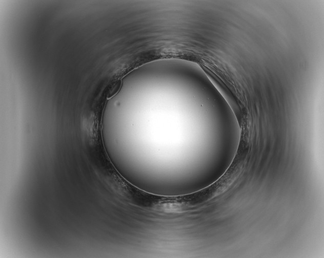 X0000094330228200711021415