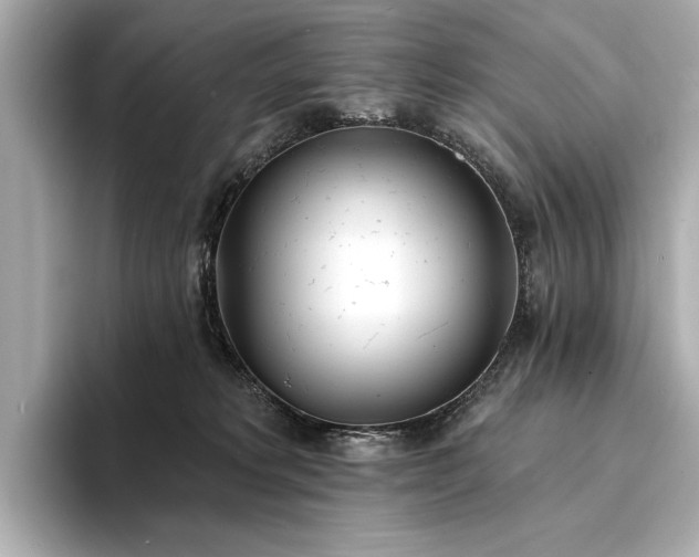 X0000094330229200711021415