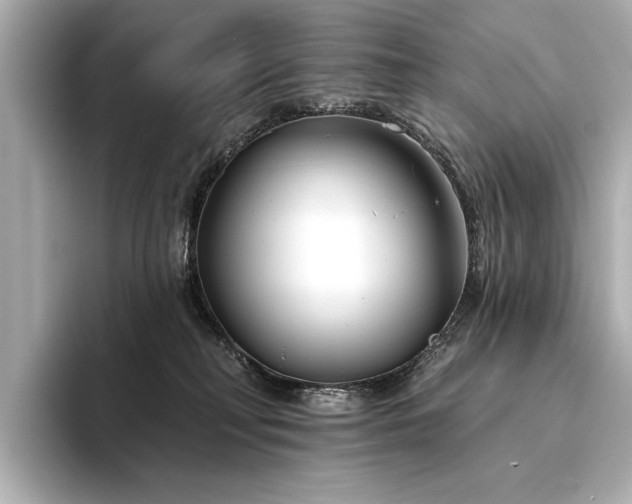 X0000094330230200711021415