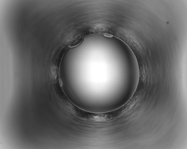X0000094330232200711021415