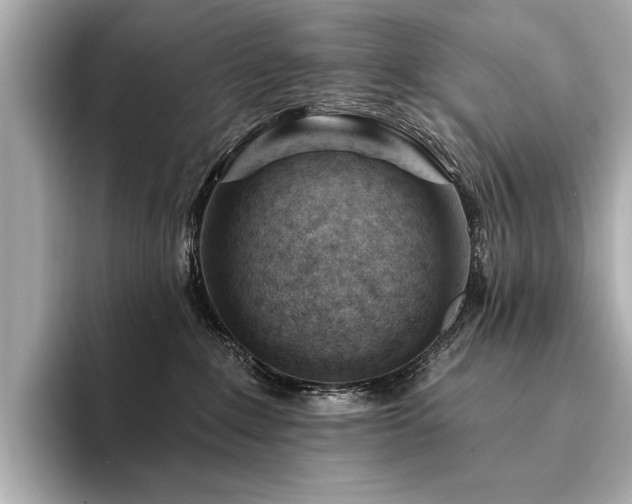 X0000094330235200711021415