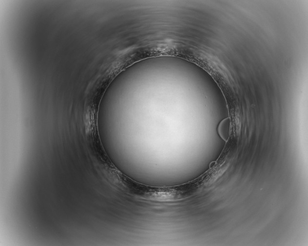 X0000094330236200711021415