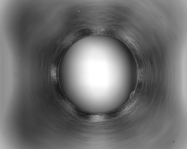 X0000094330238200711021415