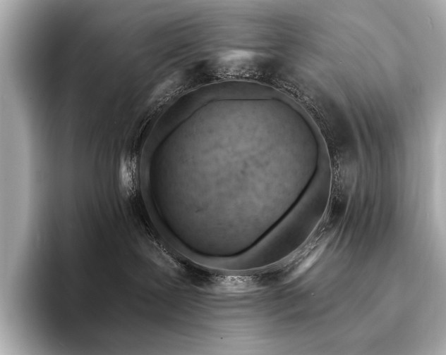 X0000094330239200711021415