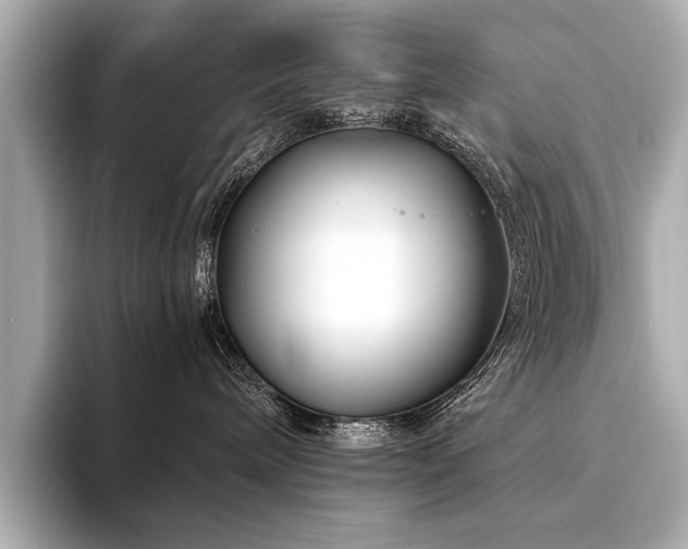 X0000094330240200711021415