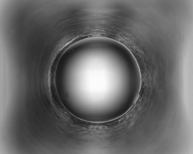 X0000094330242200711021415
